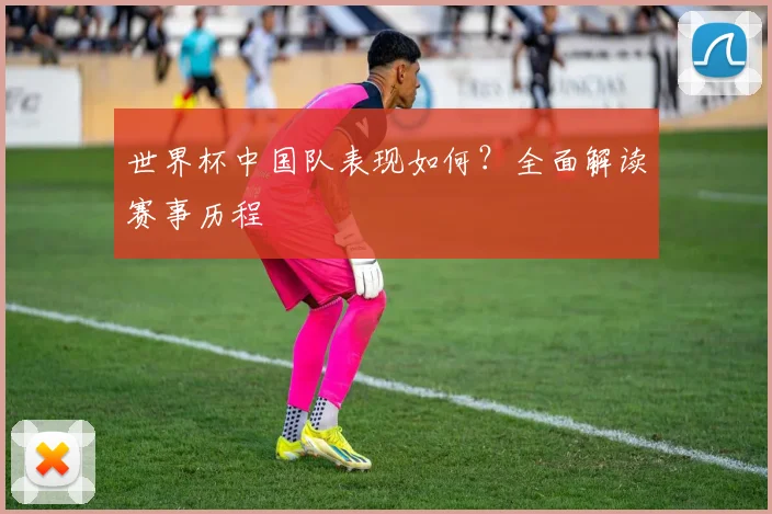 世界杯中国队表现如何?全面解读赛事历程