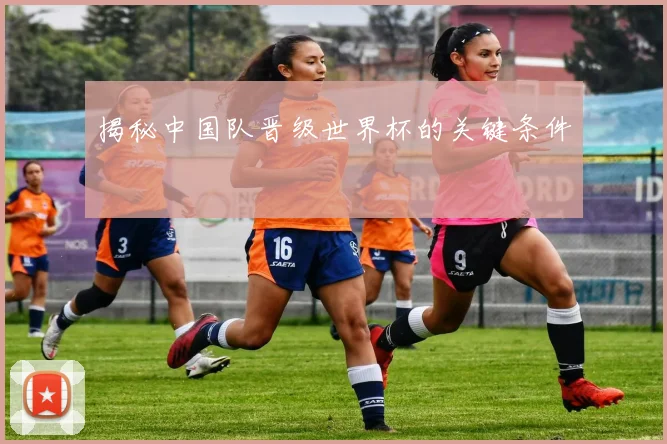揭秘中国队晋级世界杯的关键条件