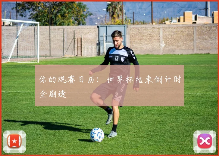 你的观赛日历：世界杯结束倒计时全剧透