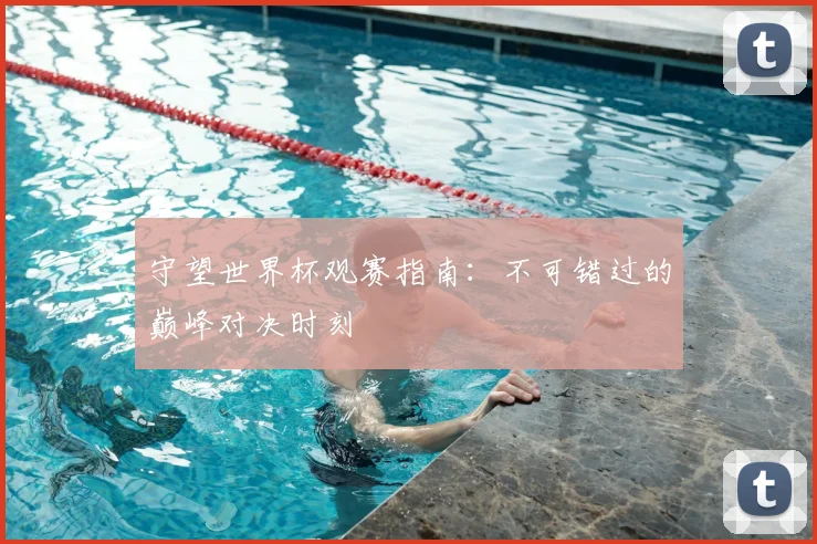 守望世界杯观赛指南:不可错过的巅峰对决时刻