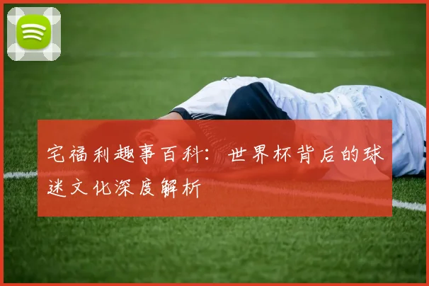 宅福利趣事百科：世界杯背后的球迷文化深度解析