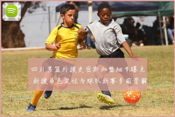 四川男篮外援史密斯加盟细节曝光 新援角色定位与球队新赛季前景解析