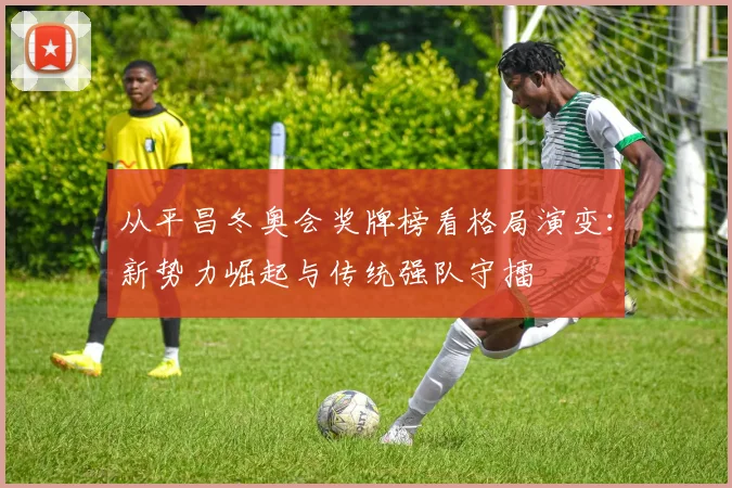 从平昌冬奥会奖牌榜看格局演变：新势力崛起与传统强队守擂