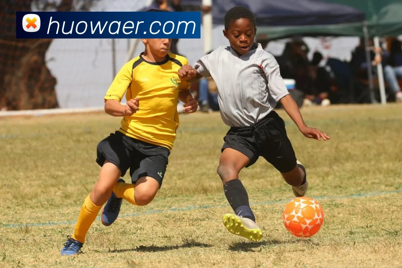 kaiyun云开官网登录入口平台生态图